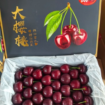 大樱桃