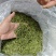 浙江安吉白茶