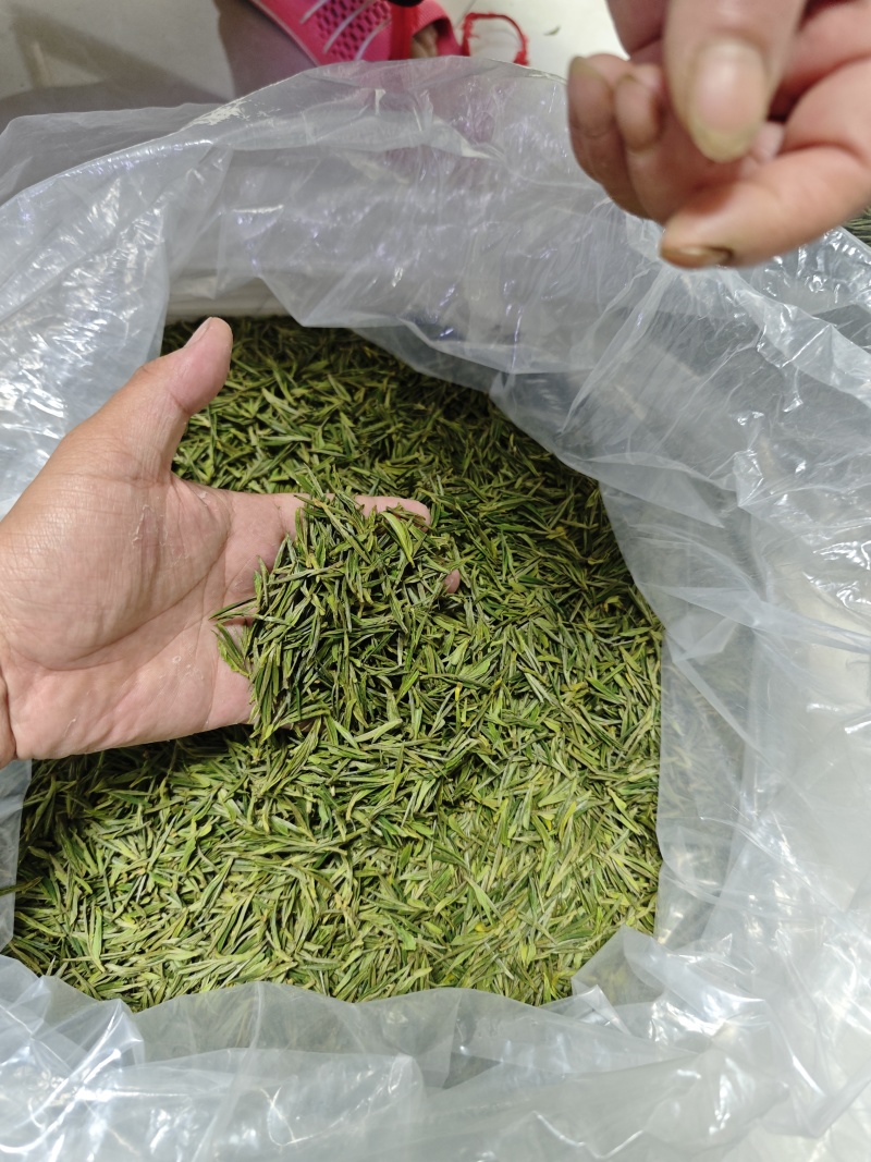 浙江安吉白茶