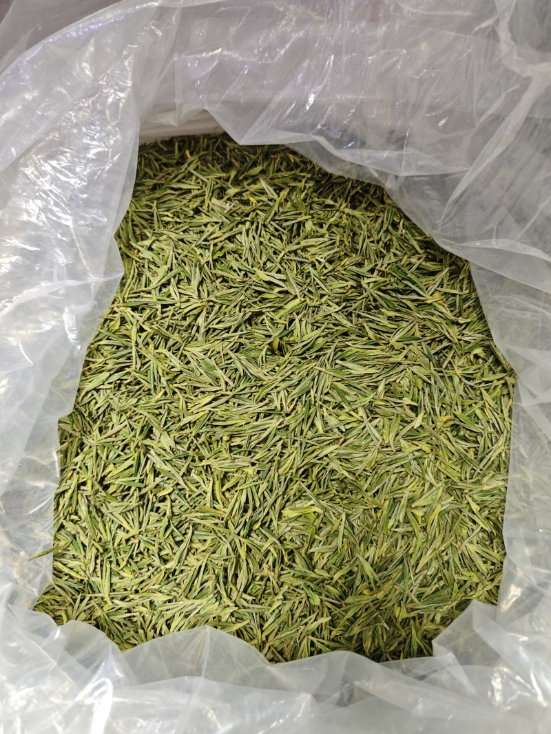 浙江安吉白茶