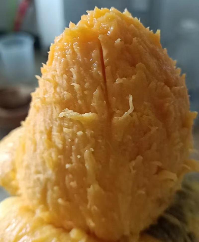 百色田东金煌芒果台农芒果贵妃芒果