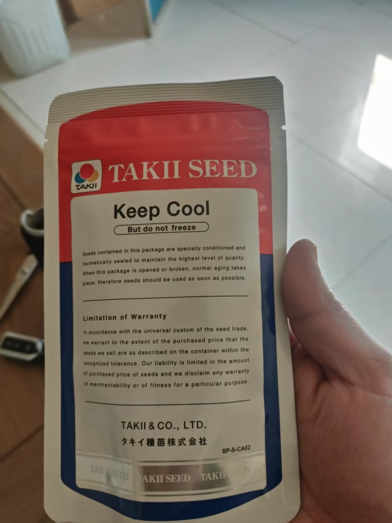 县级共富项目基地，包菜台湾技术员指导种植管理