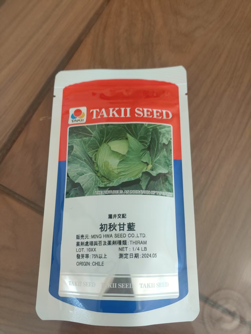 县级共富项目基地，包菜台湾技术员指导种植管理