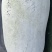 青皮和白皮冬瓜个重大约10至15公斤重