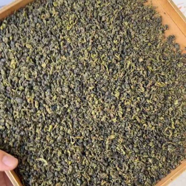 珠茶