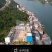 柚子树