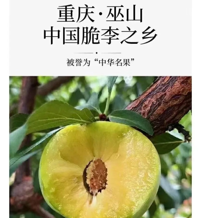 巫山脆李