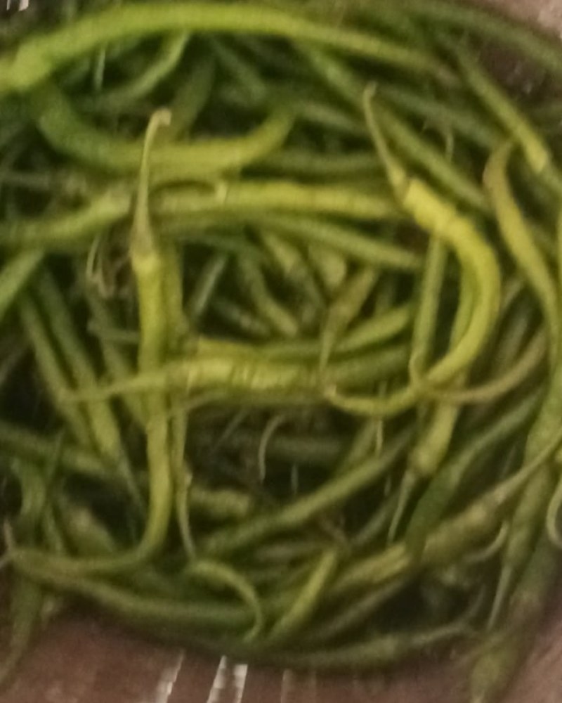 重庆线椒