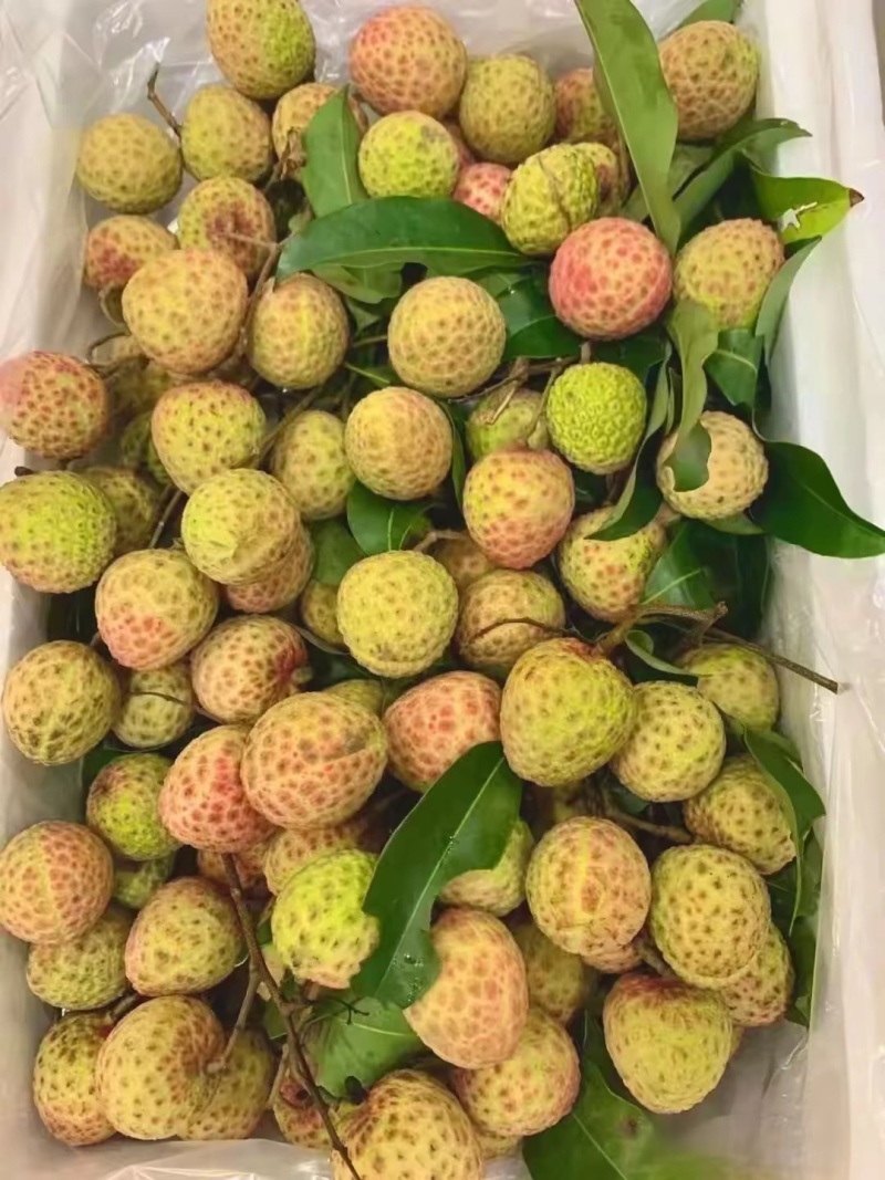 东莞荔枝