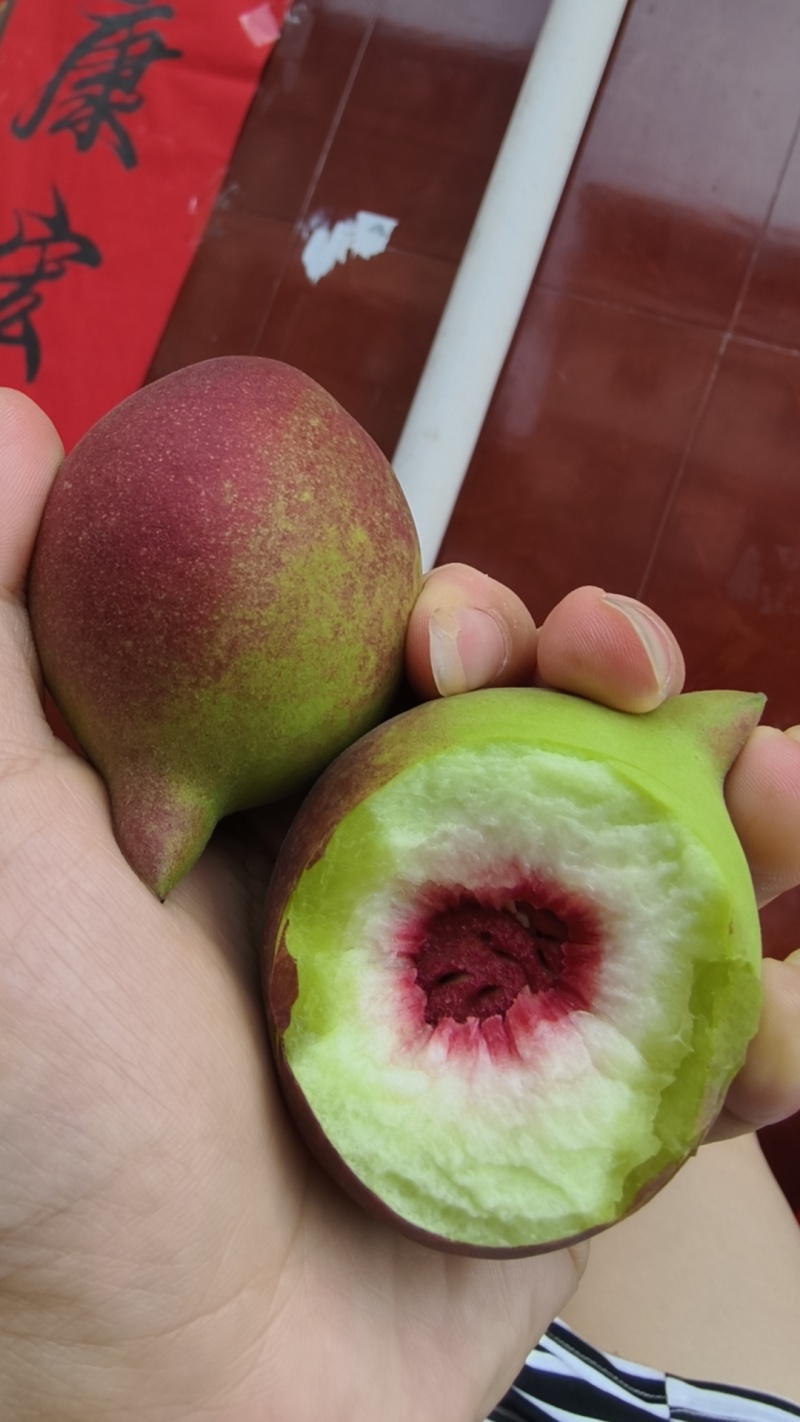 东江湖鹰嘴桃