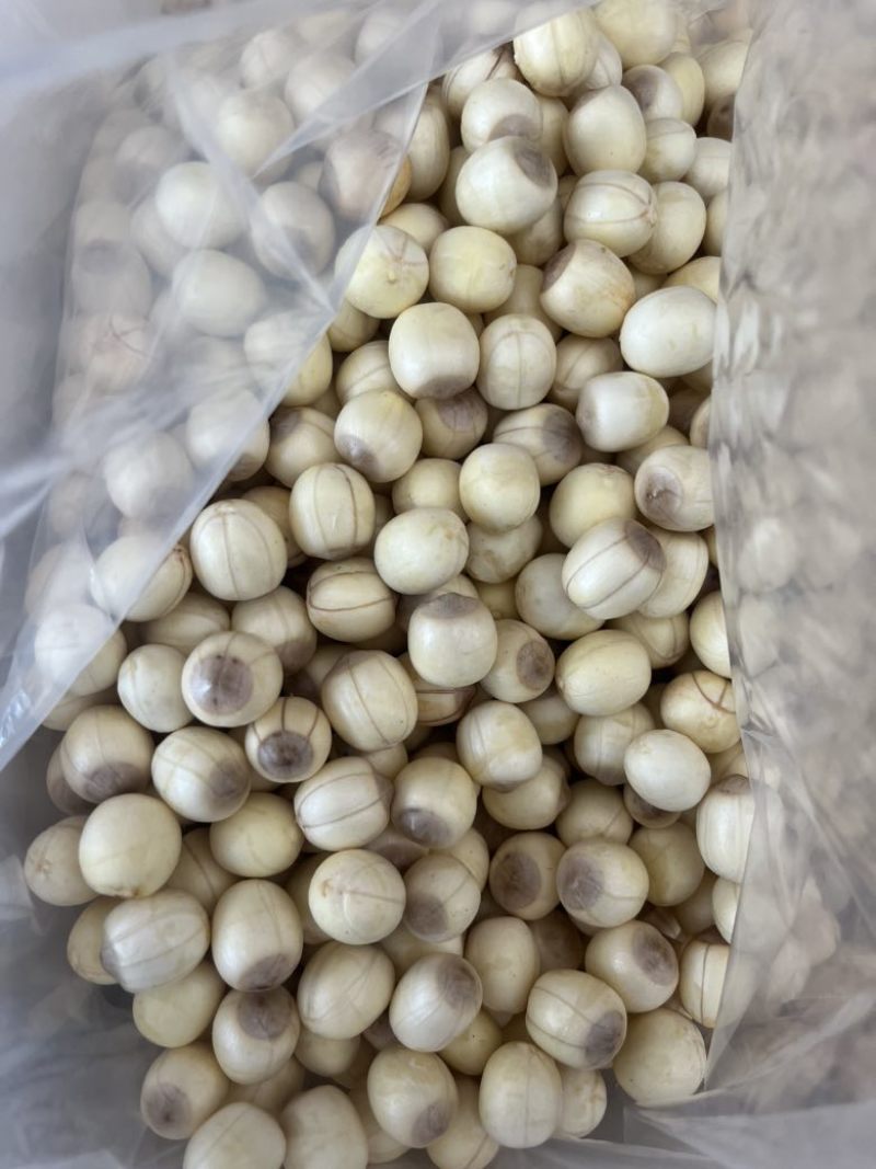 手工通芯白莲莲子草莲大量出售