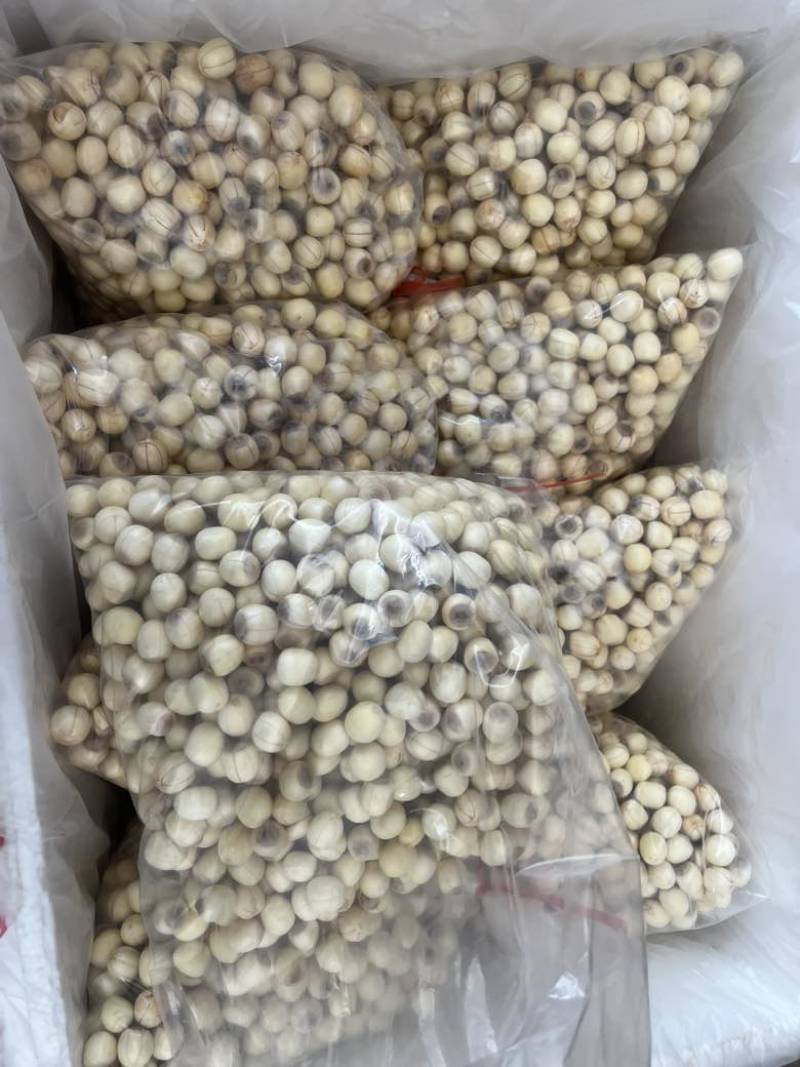 手工通芯白莲莲子草莲大量出售