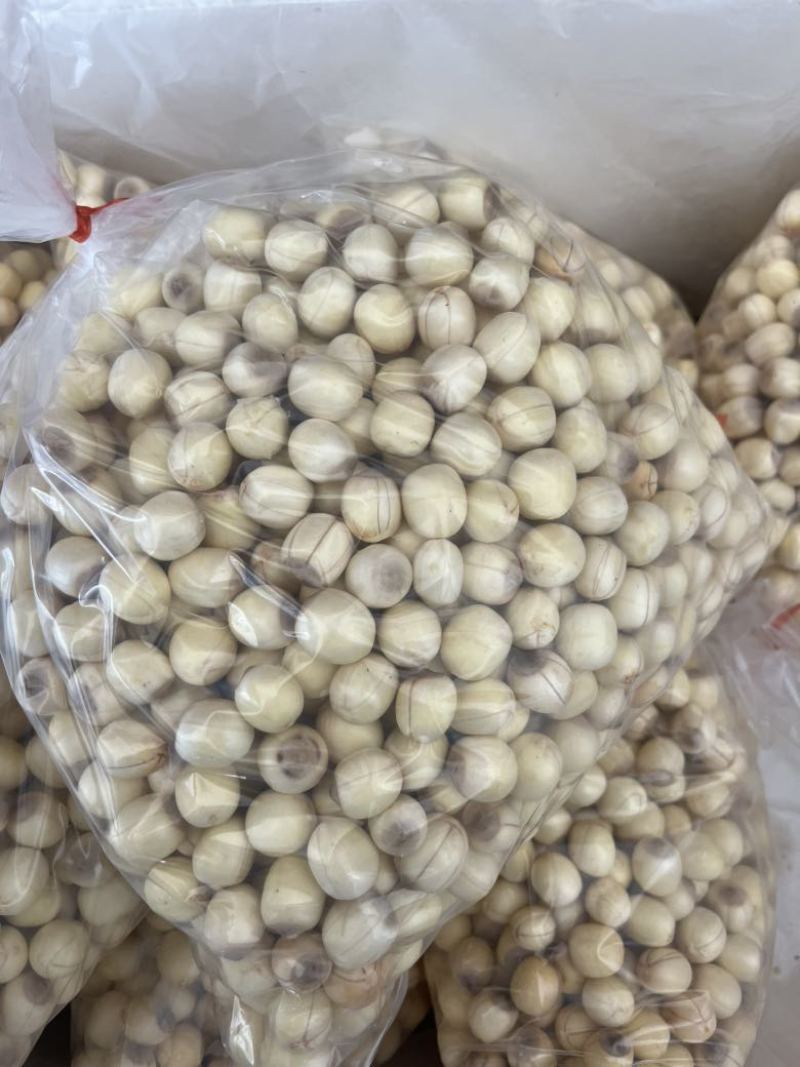 手工通芯白莲莲子草莲大量出售