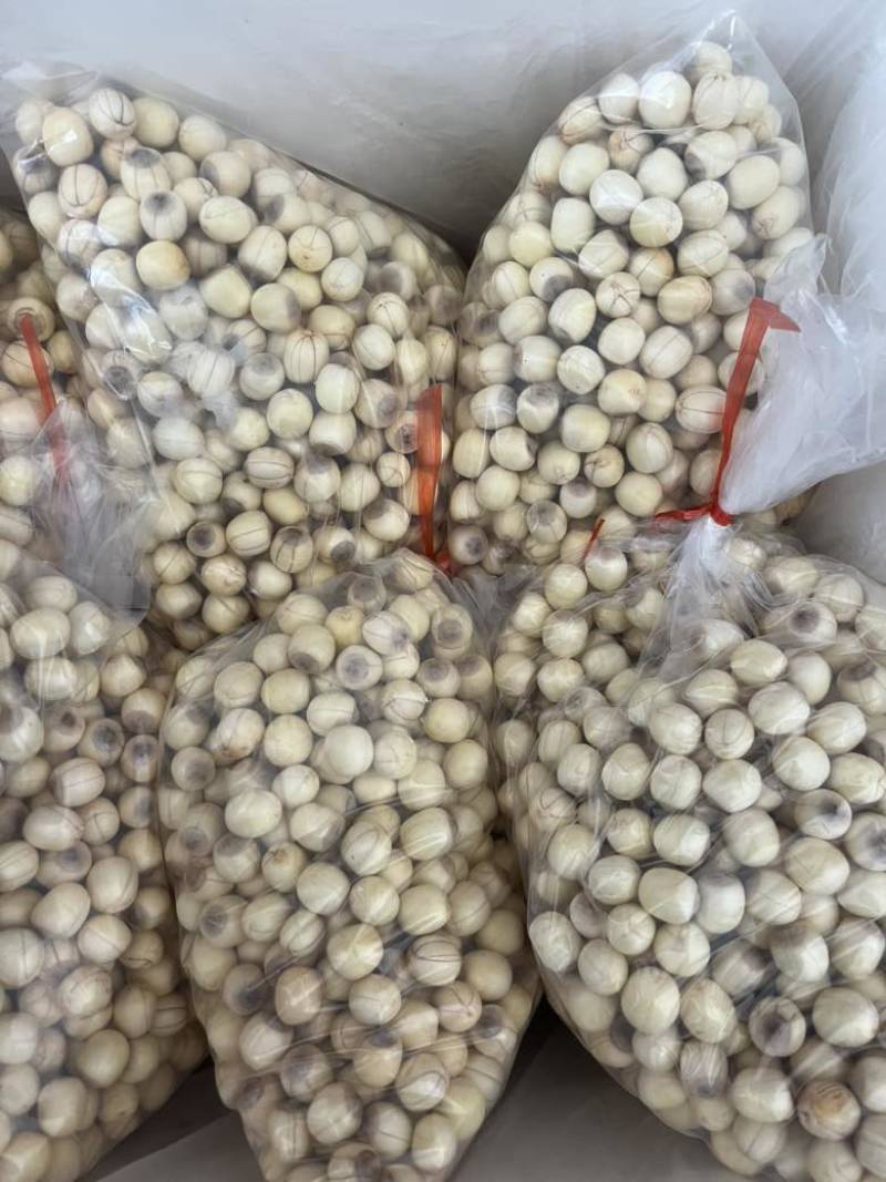 手工通芯白莲莲子草莲大量出售