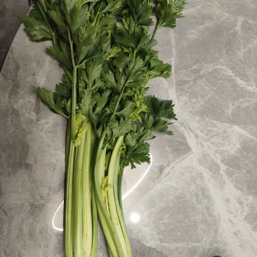 10亩芹菜