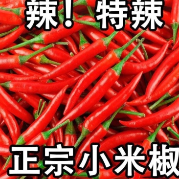 红色小米辣