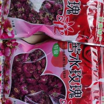 苦水玫瑰