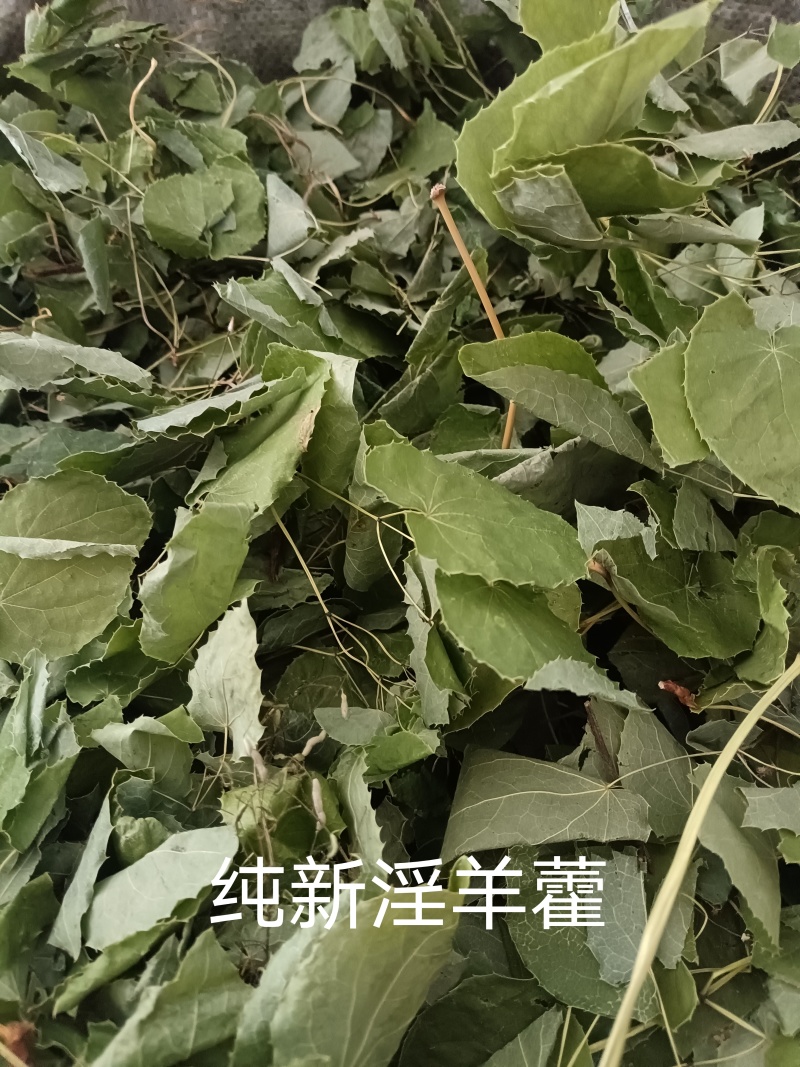 产地陕西小圆叶淫羊藿