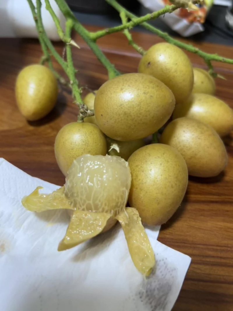 高州鸡心黄皮