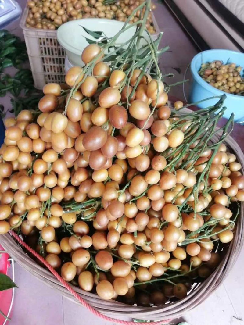 高州鸡心黄皮