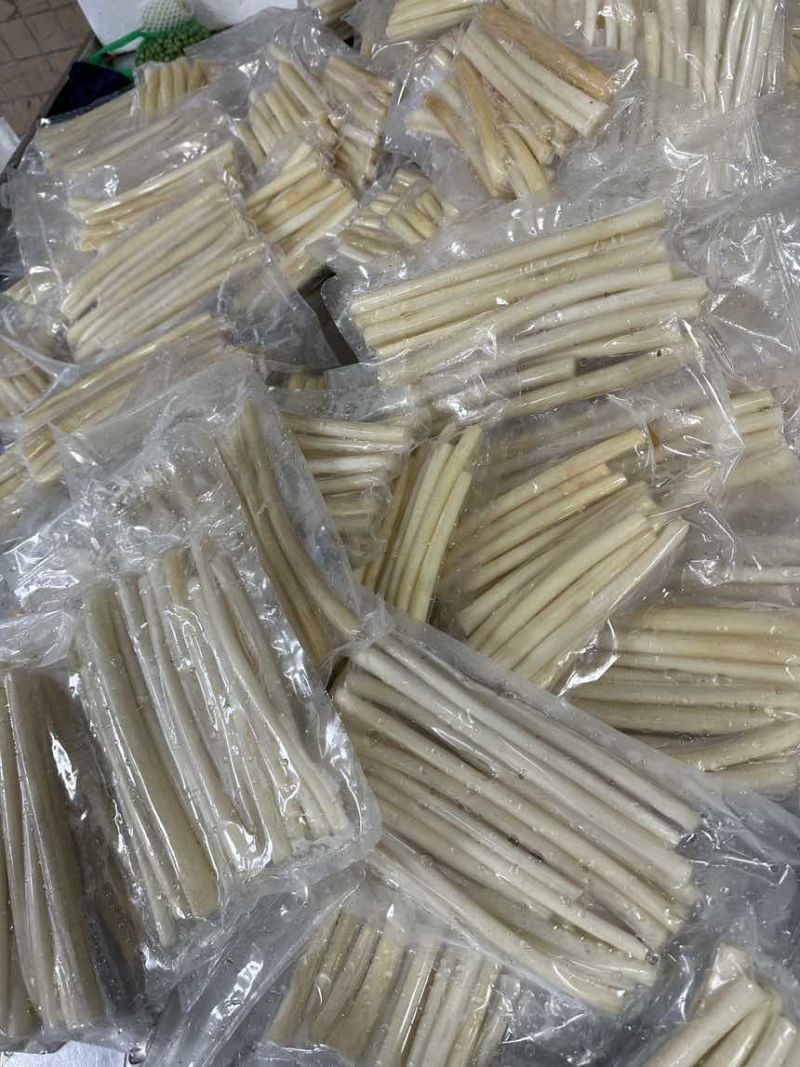 足庶茅根马蹄