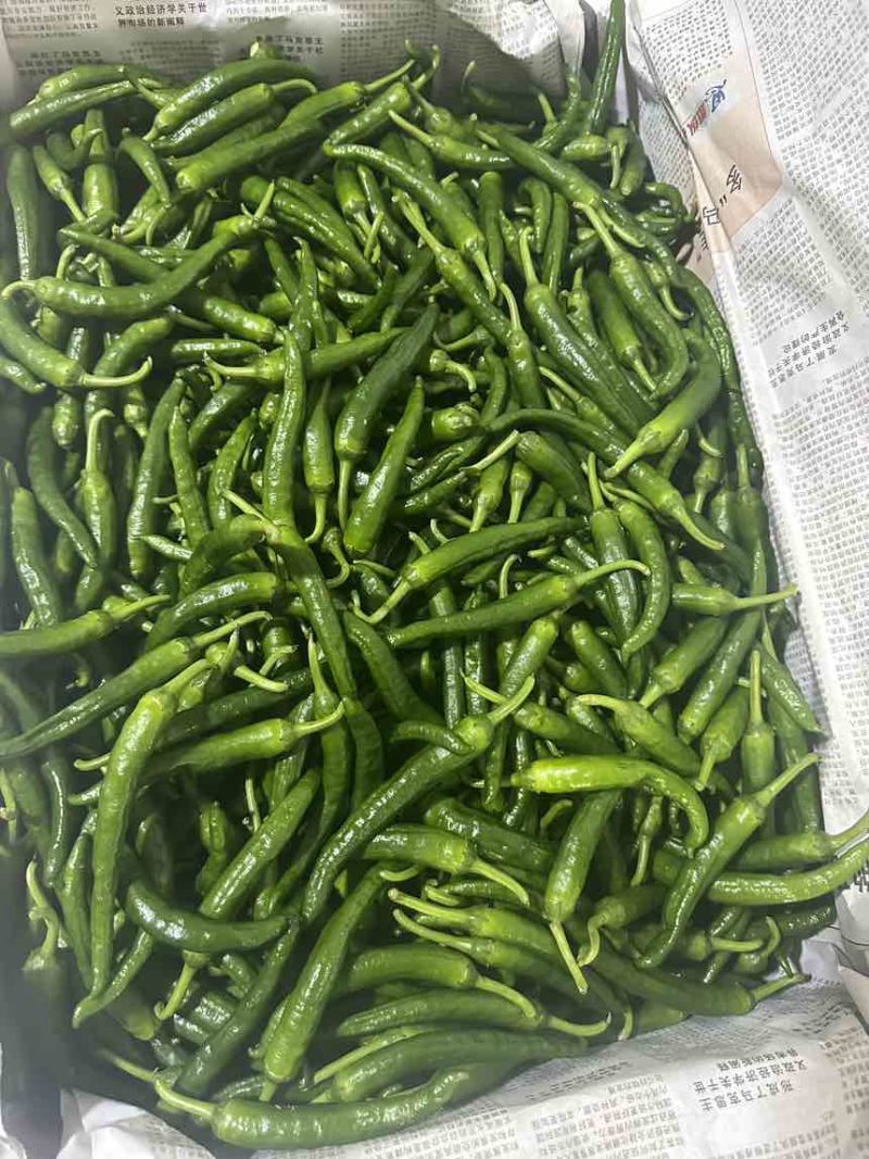 鲜辣椒