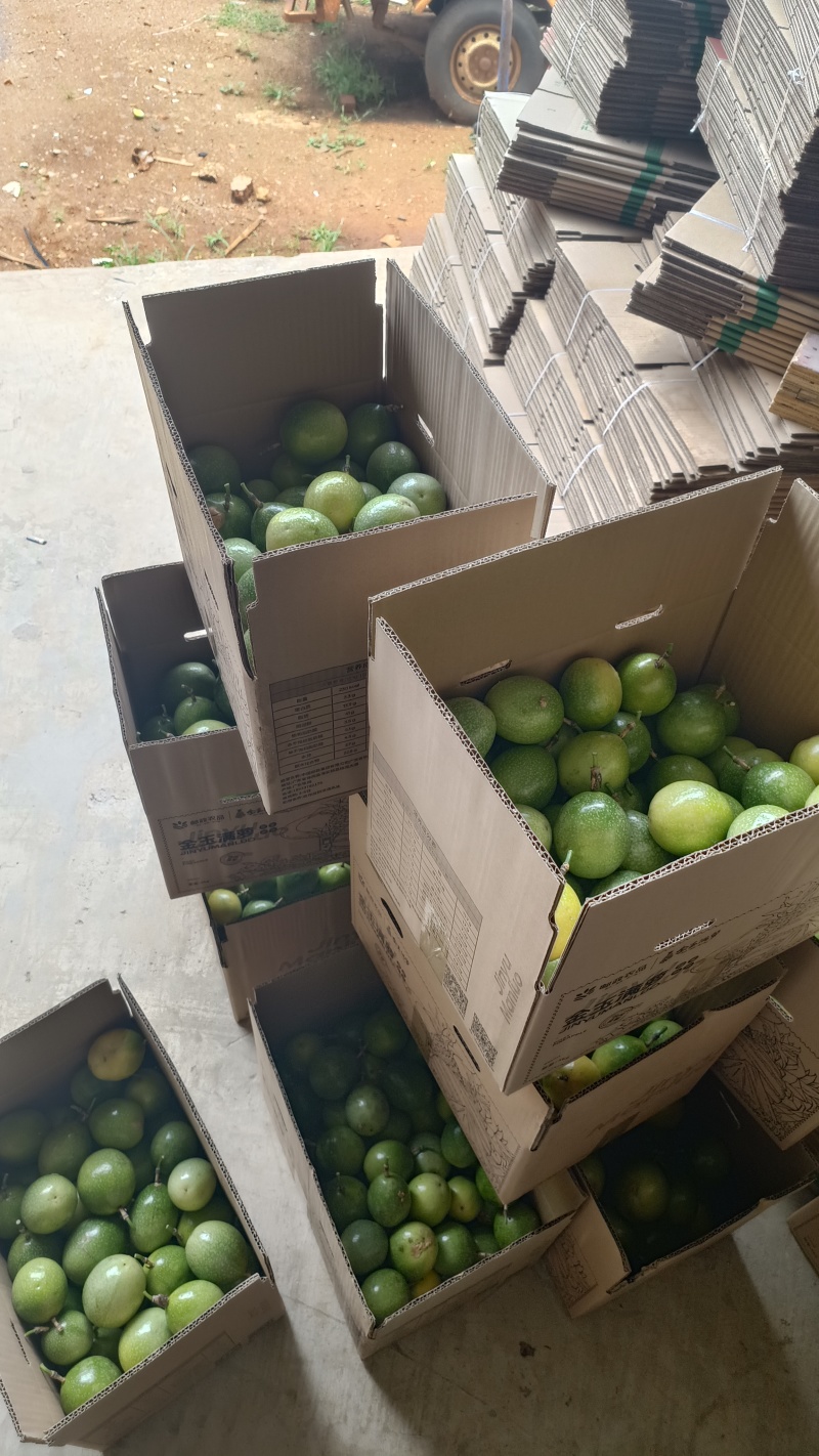 【南方果坊】正宗钦蜜9号黄金百香果当季新鲜孕妇水果一整箱
