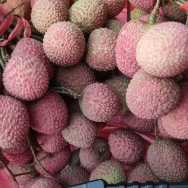 荔枝
