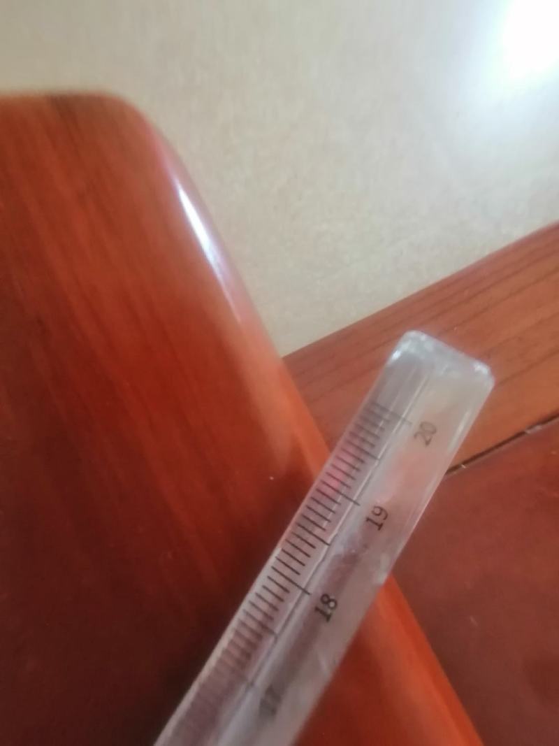 一棵杉木自然倒地，树干笔直。直径20厘米左右