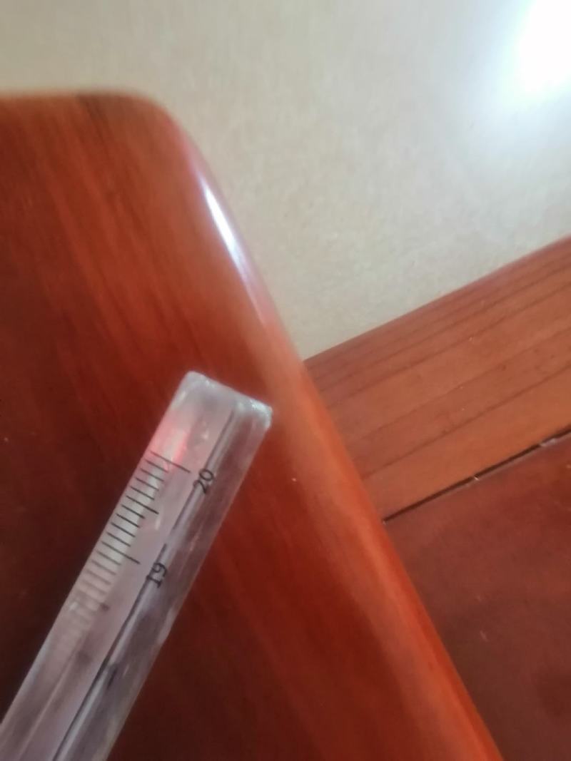 一棵杉木自然倒地，树干笔直。直径20厘米左右