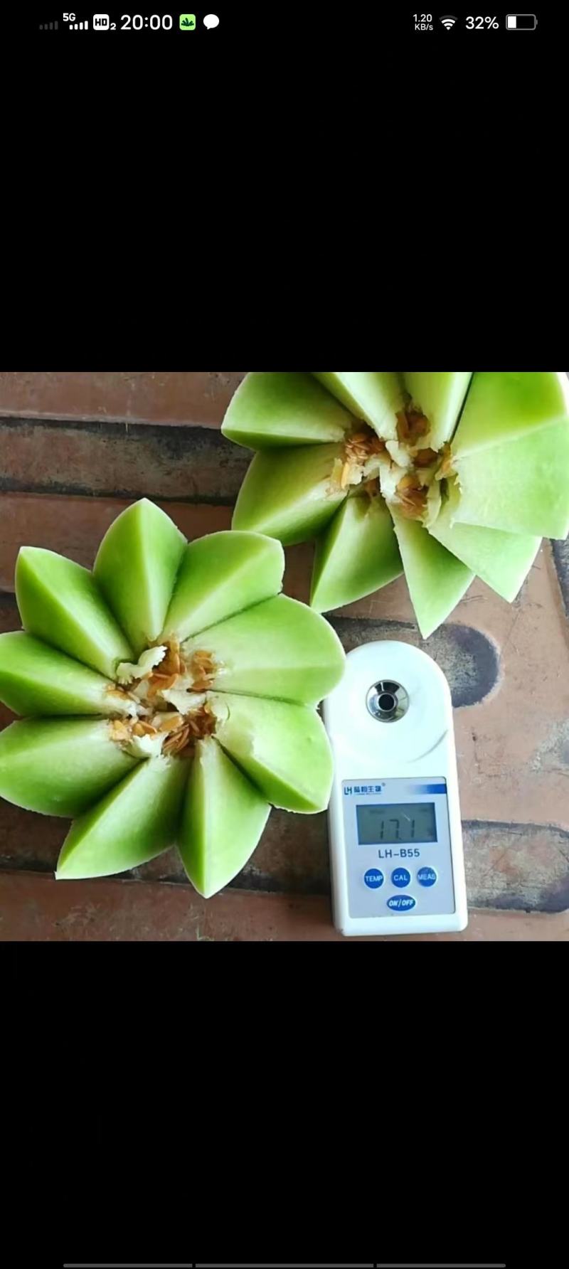 玉菇甜瓜