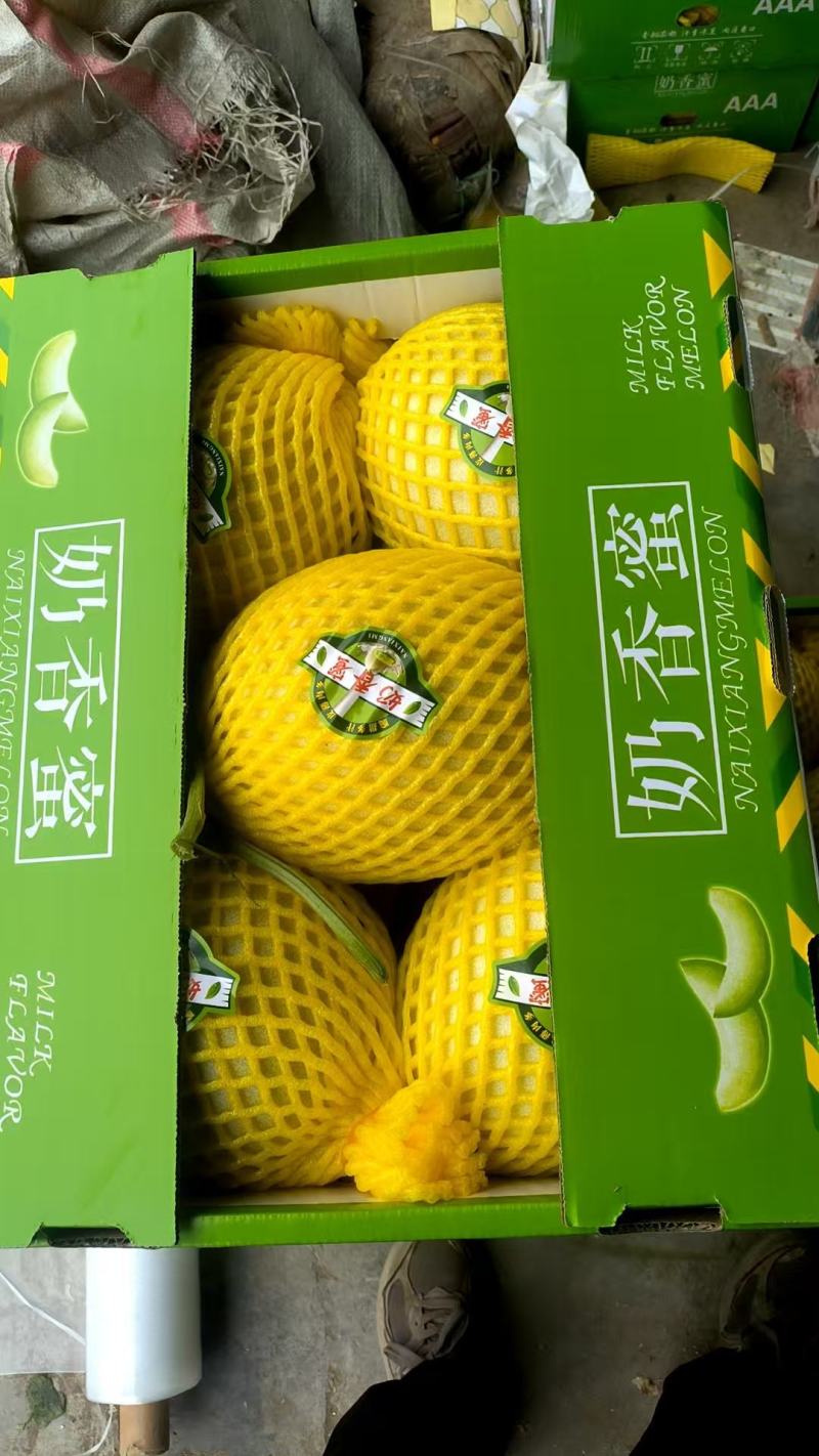 玉菇甜瓜