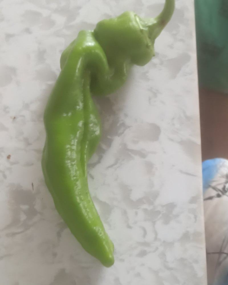 牛角辣椒