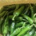 青椒8号和牛角椒