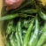 青椒8号和牛角椒