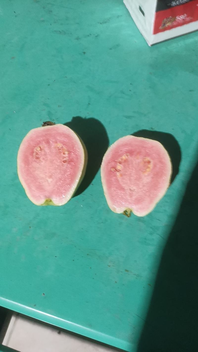 番石榴芭乐