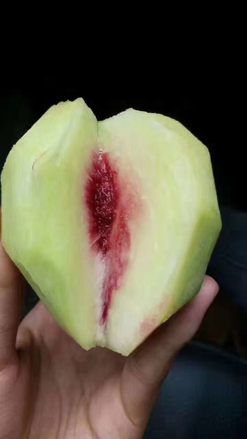 云南开远鹰嘴蜜桃