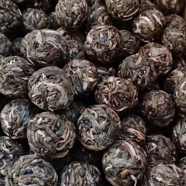 茶叶普洱茶古树龙珠