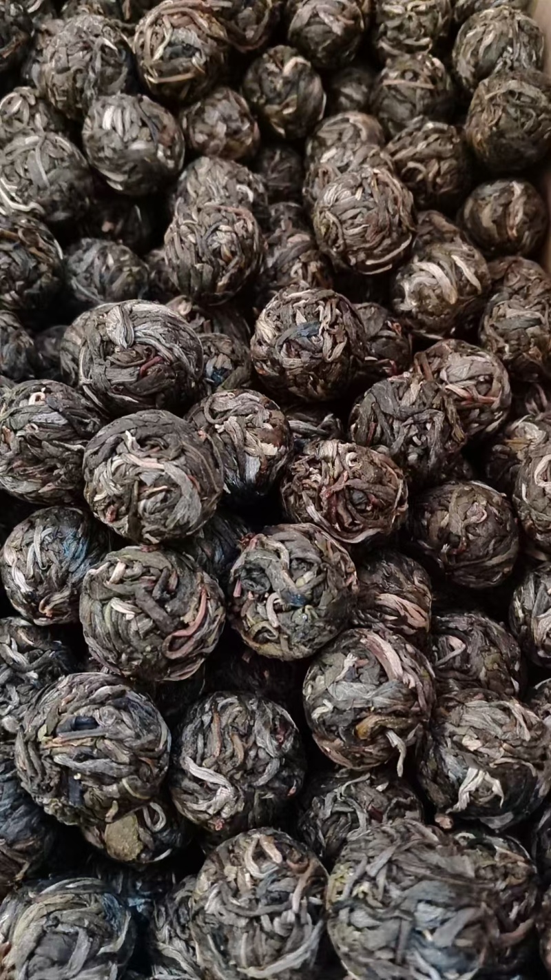 茶叶普洱茶古树龙珠