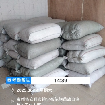 新疆线椒