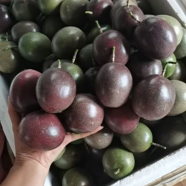 百香果