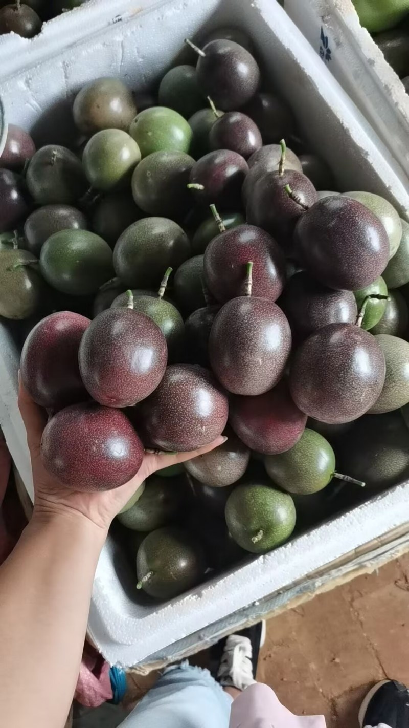 百香果