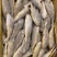 品名：小黄花鱼规格：一箱十斤，一箱120条以内开堂去肠去腮