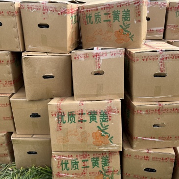 贵州小黄姜