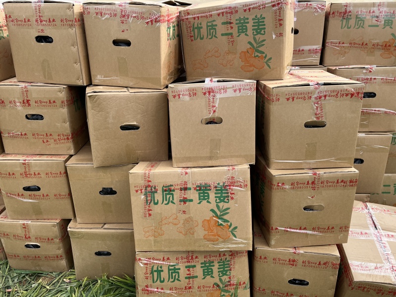 贵州小黄姜