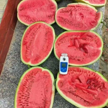 宁夏硒砂瓜