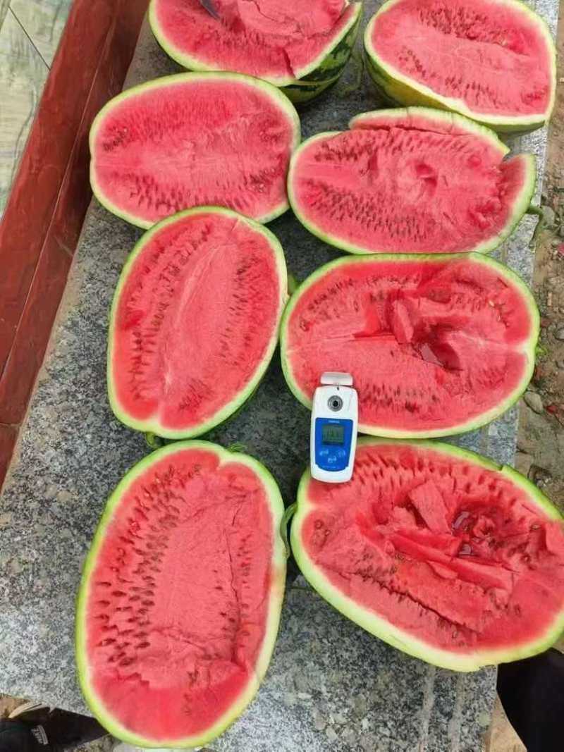 宁夏硒砂瓜