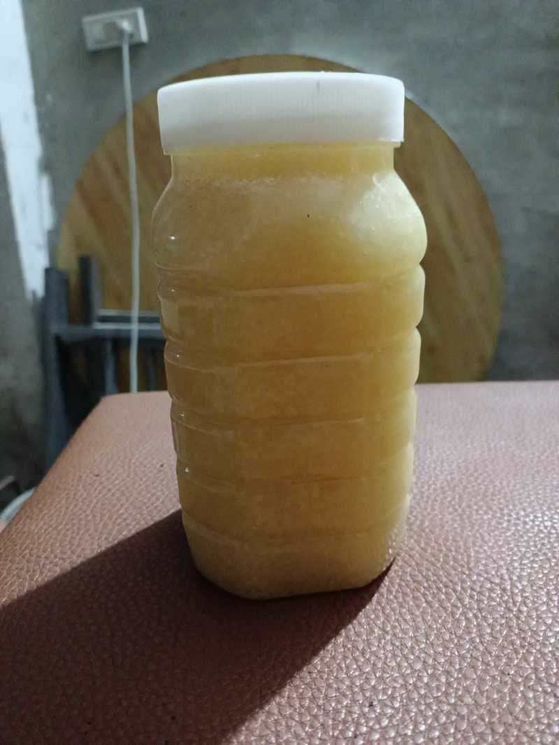 农村半山腰土蜂蜜