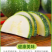 临洮本地自种圆菜瓜