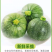 临洮本地自种圆菜瓜